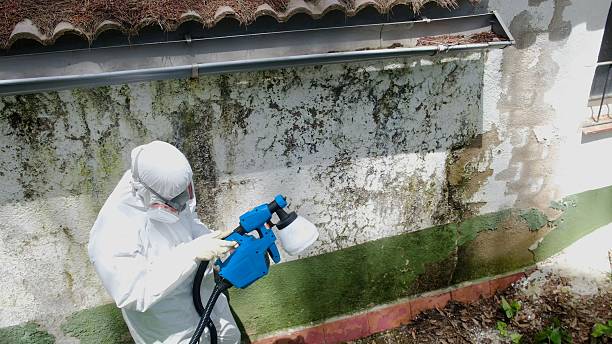 Trusted Mold Inspection service in Allenwood, PA - Cheap Mold Removal